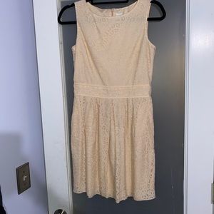 J crew lace dress for kids! Size 14